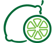 Avacado