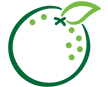 Avacado