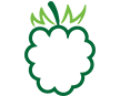 Avacado