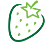 Avacado