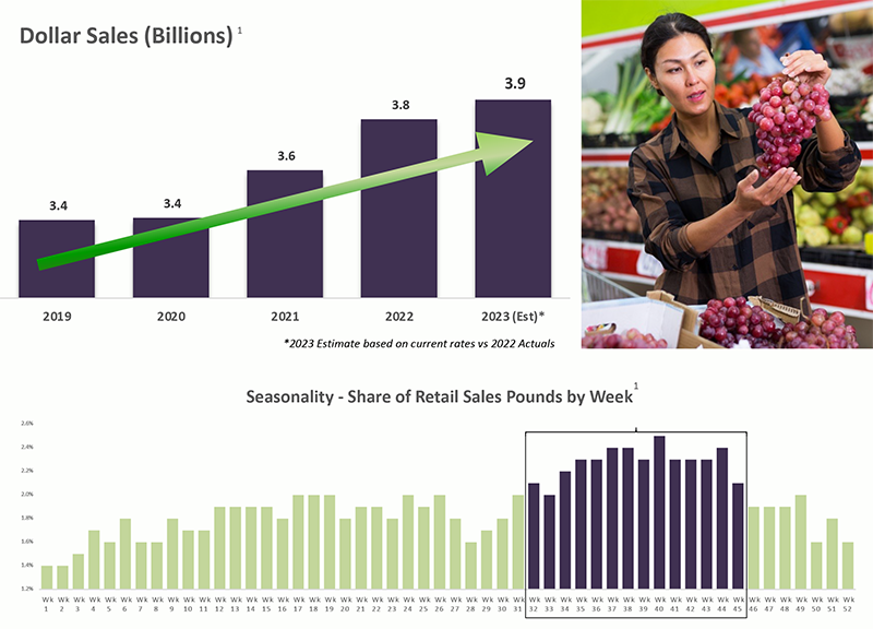 Bar graph of dollar sales and another bar graph of seasonality - share of retail sales pounds by week.