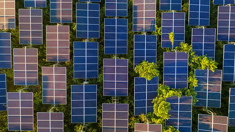 C.H. Robinson energy logistics market update