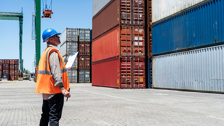 C.H. Robinson customs freight market update