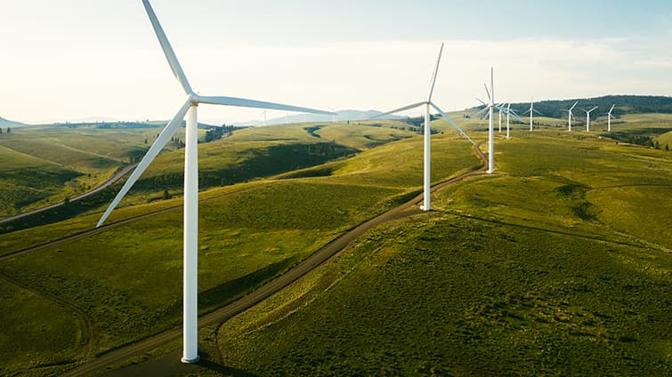 Wind turbines representing clean energy power